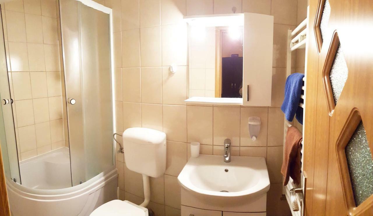 Vila Alfa Dumbrava Sibiu Ngoại thất bức ảnh