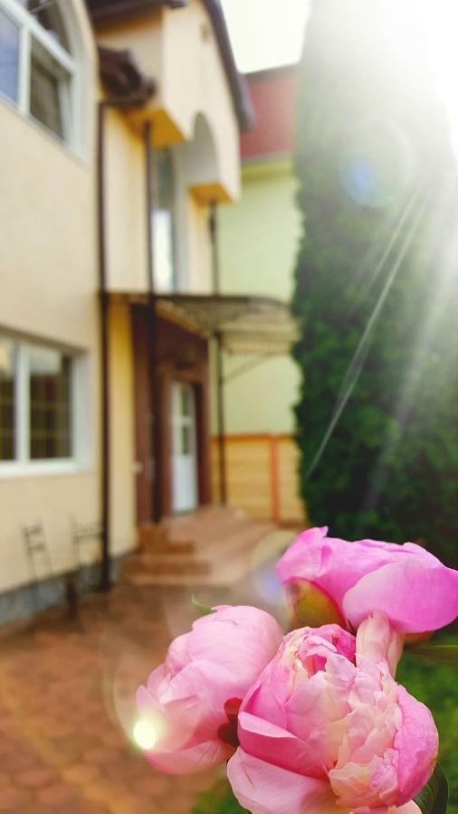 Vila Alfa Dumbrava Sibiu Ngoại thất bức ảnh